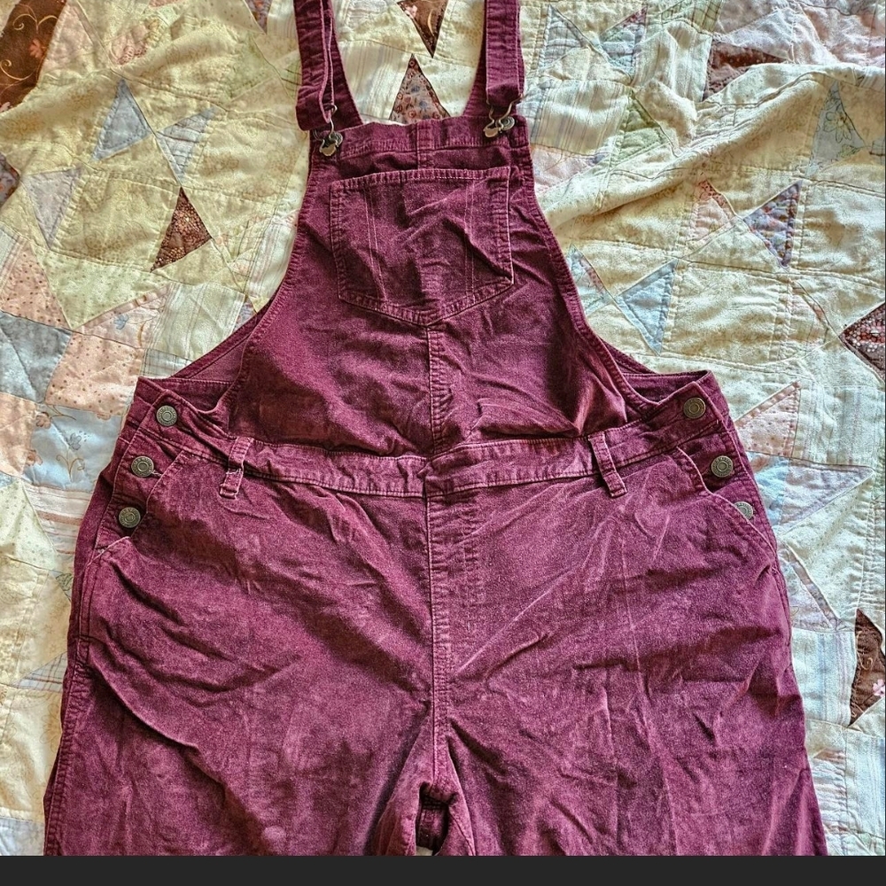 Short Inseam Burgundy Overalls w/ Adjustable Straps